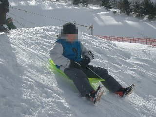 $B$R$H$j$G%=%j$K>h$C$F$$$k<L??(B